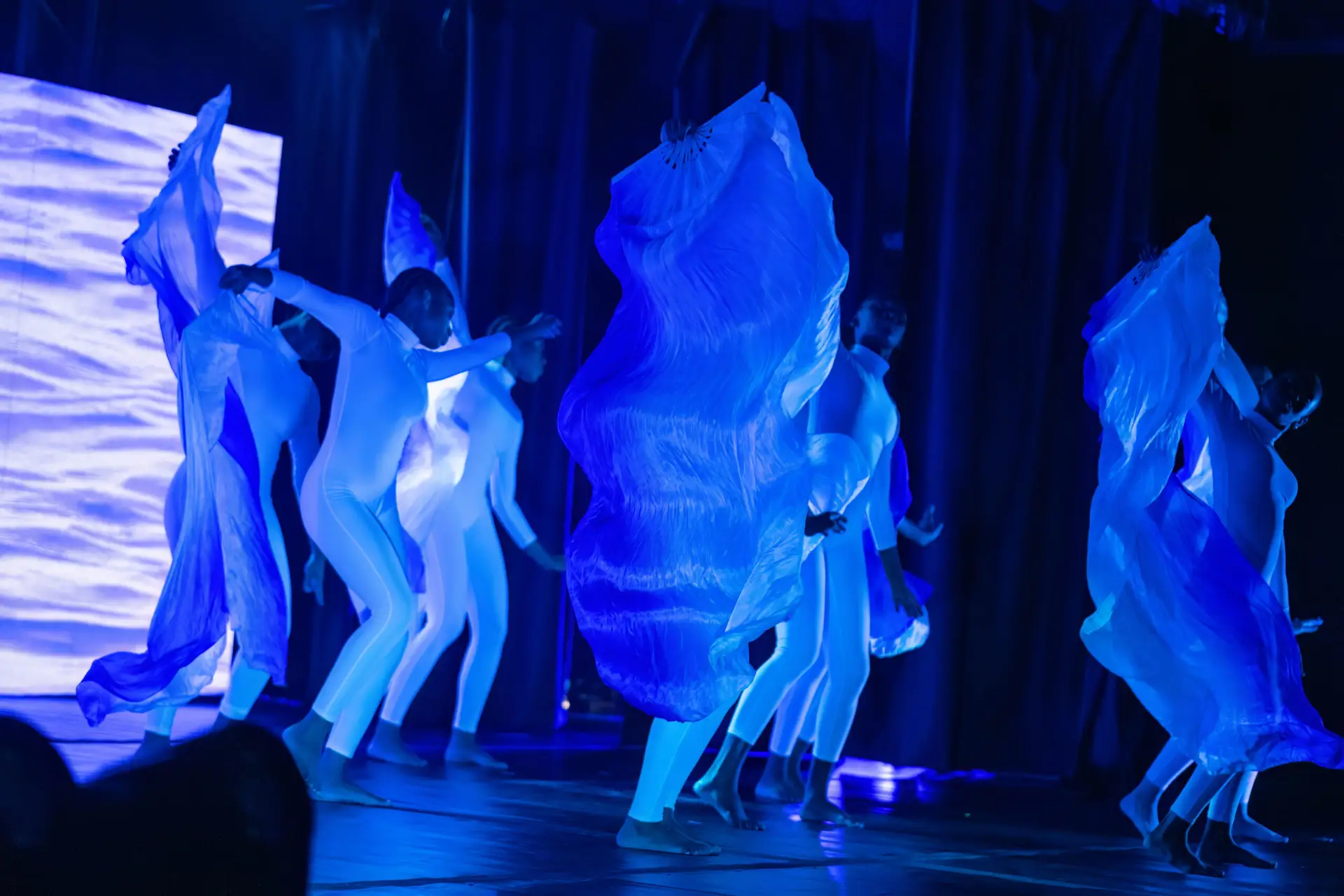SilverShadowDance Premiere Genesis 30 Cultural Development Silvershadowdance premiere genesis 30 cultural development